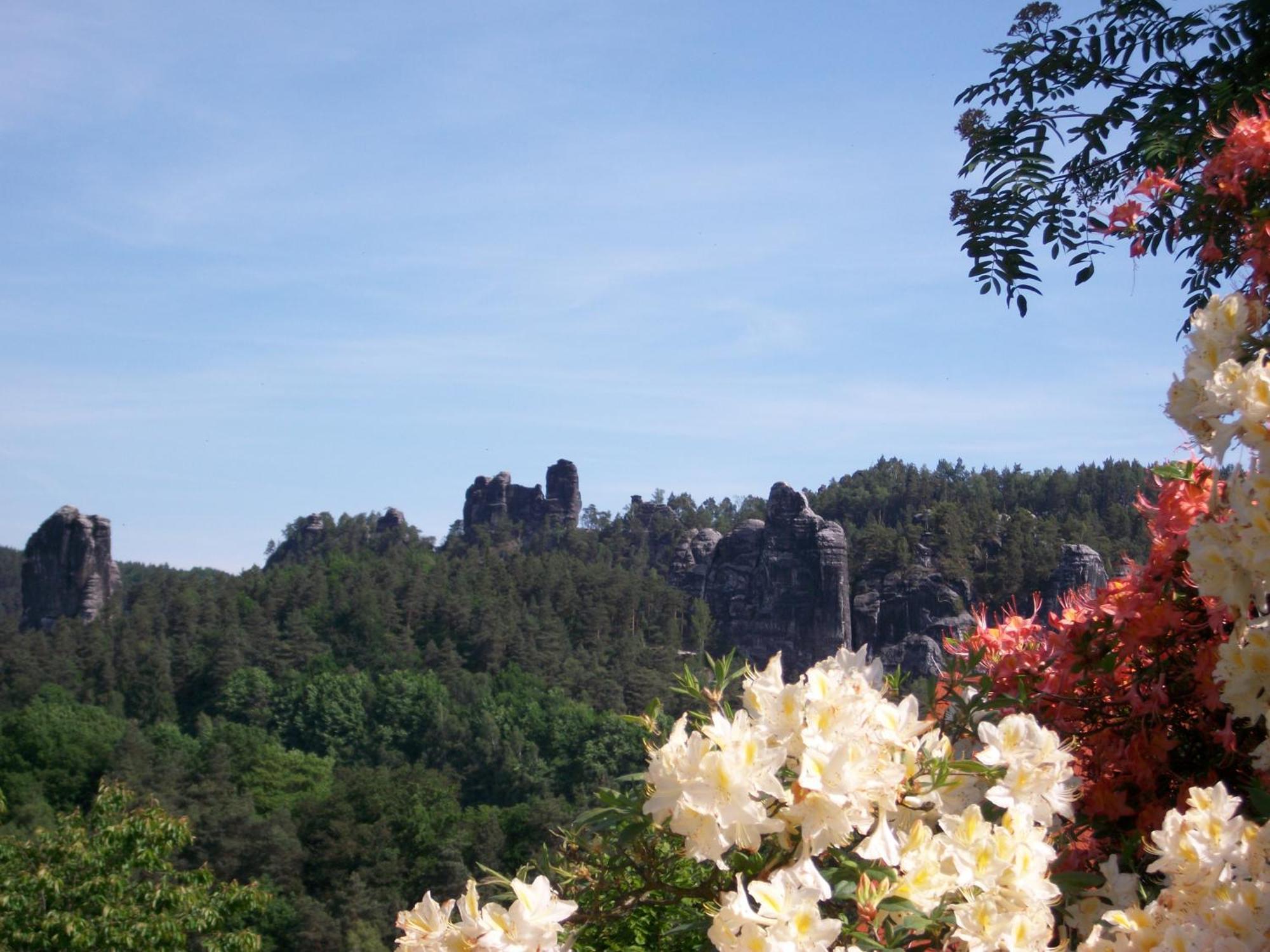 Ferienwohnung Zum Lilienstein Bad Schandau Buitenkant foto