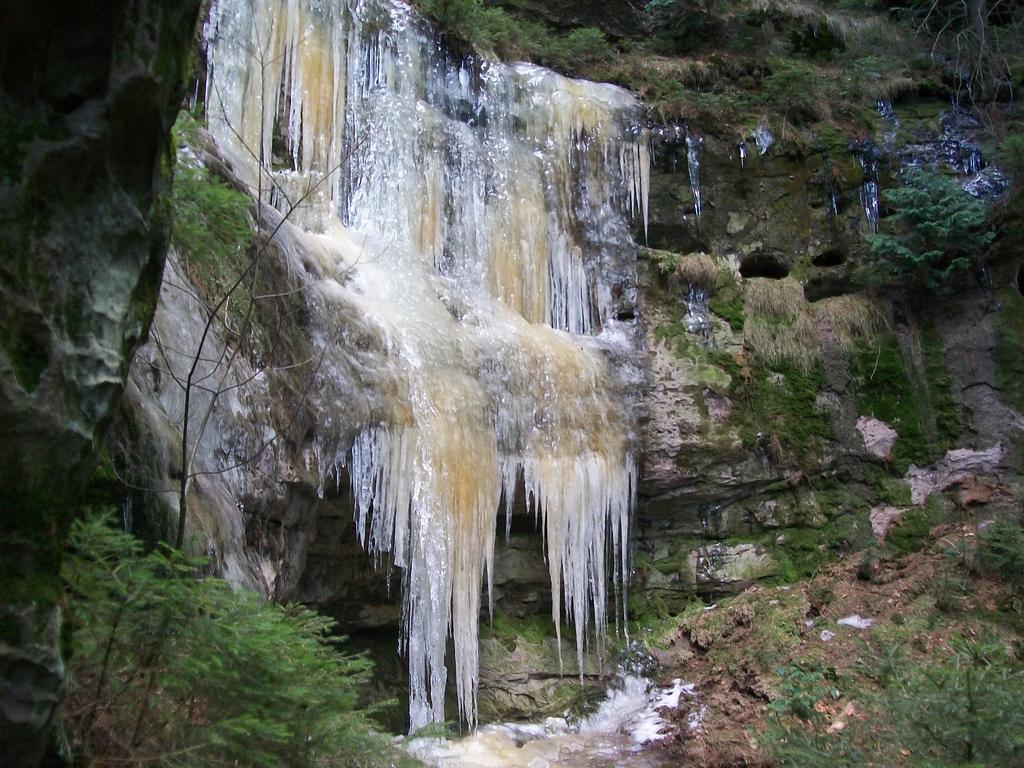 Ferienwohnung Zum Lilienstein Bad Schandau Buitenkant foto