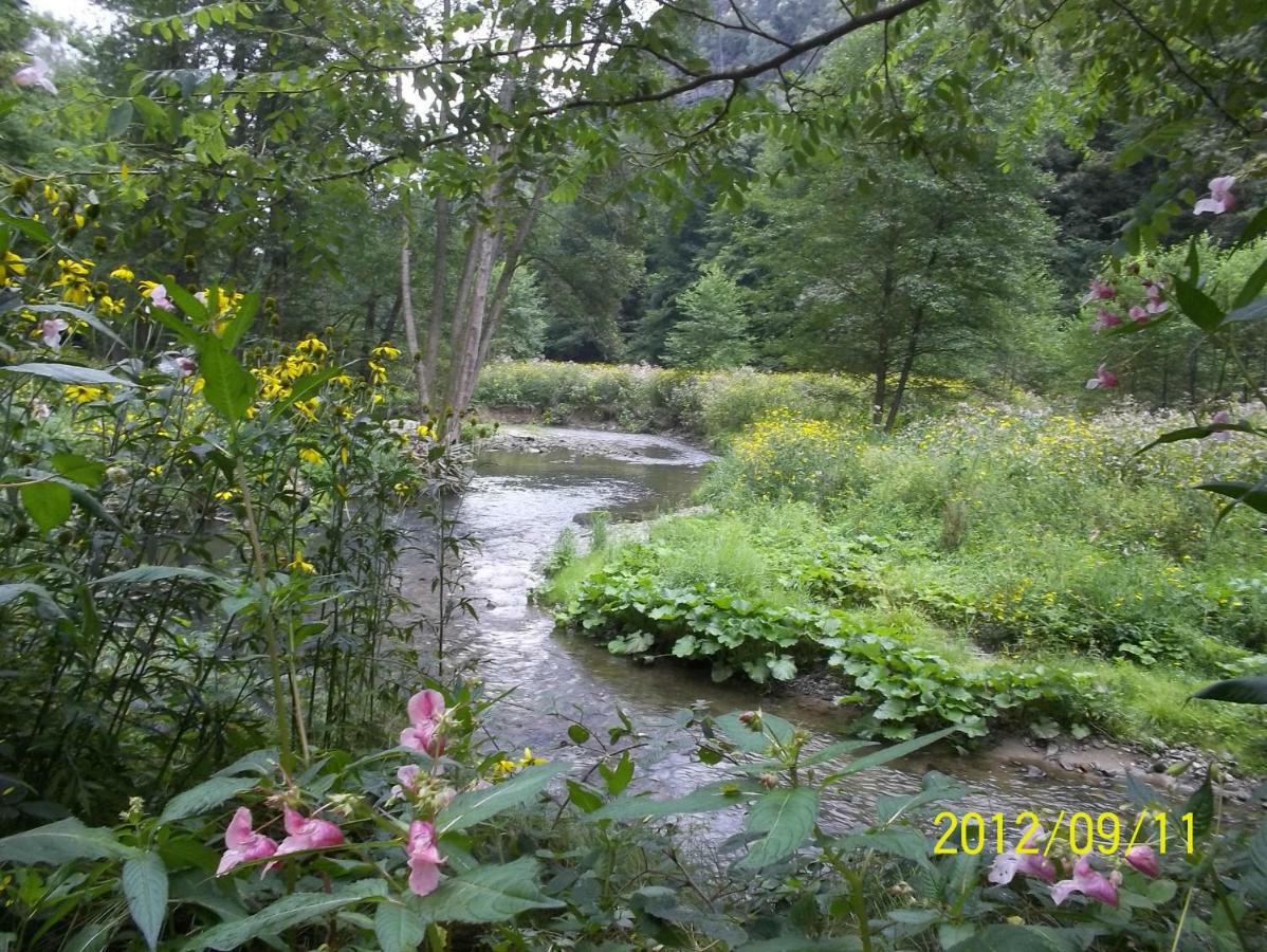 Ferienwohnung Zum Lilienstein Bad Schandau Buitenkant foto